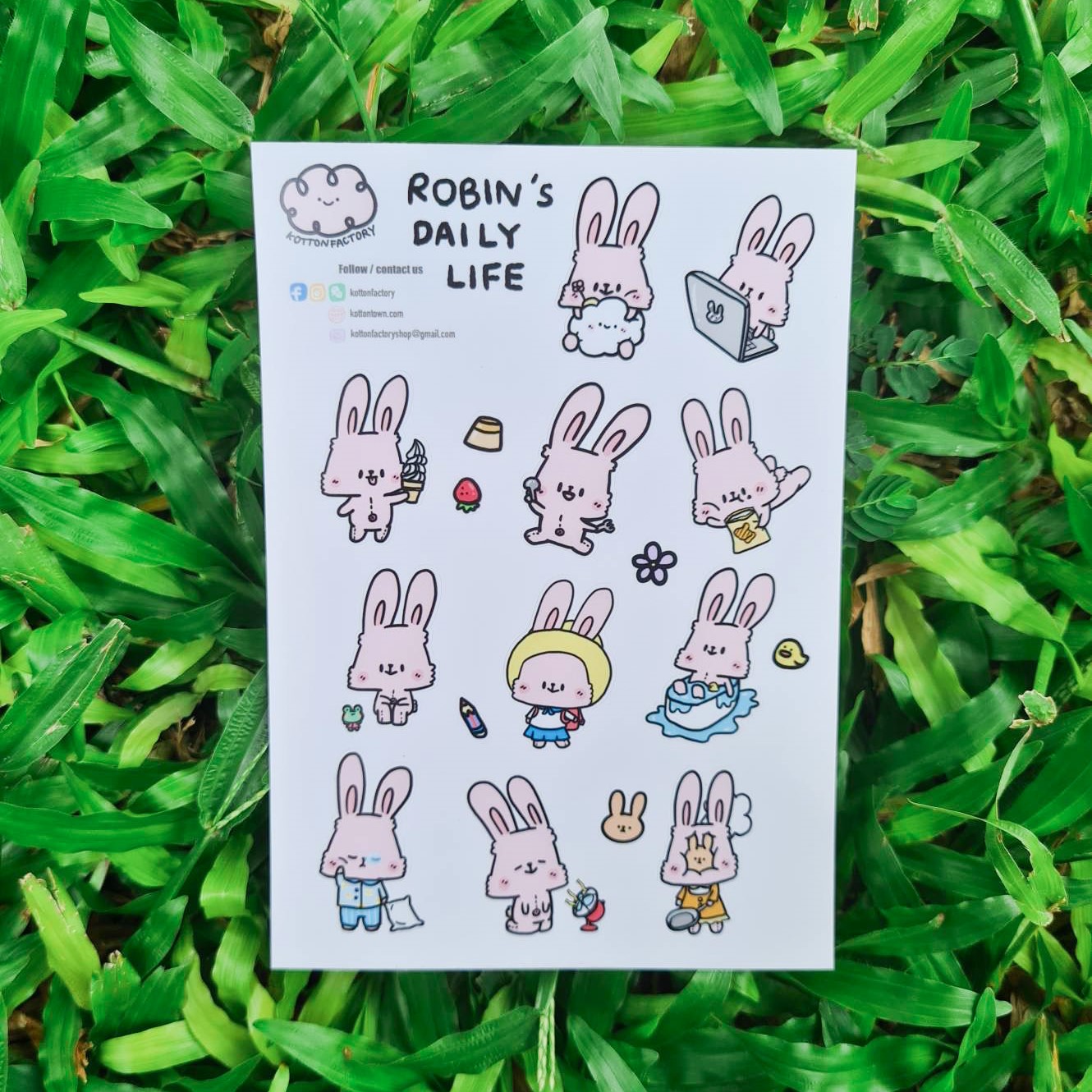 Sticker : Robin Daily Life