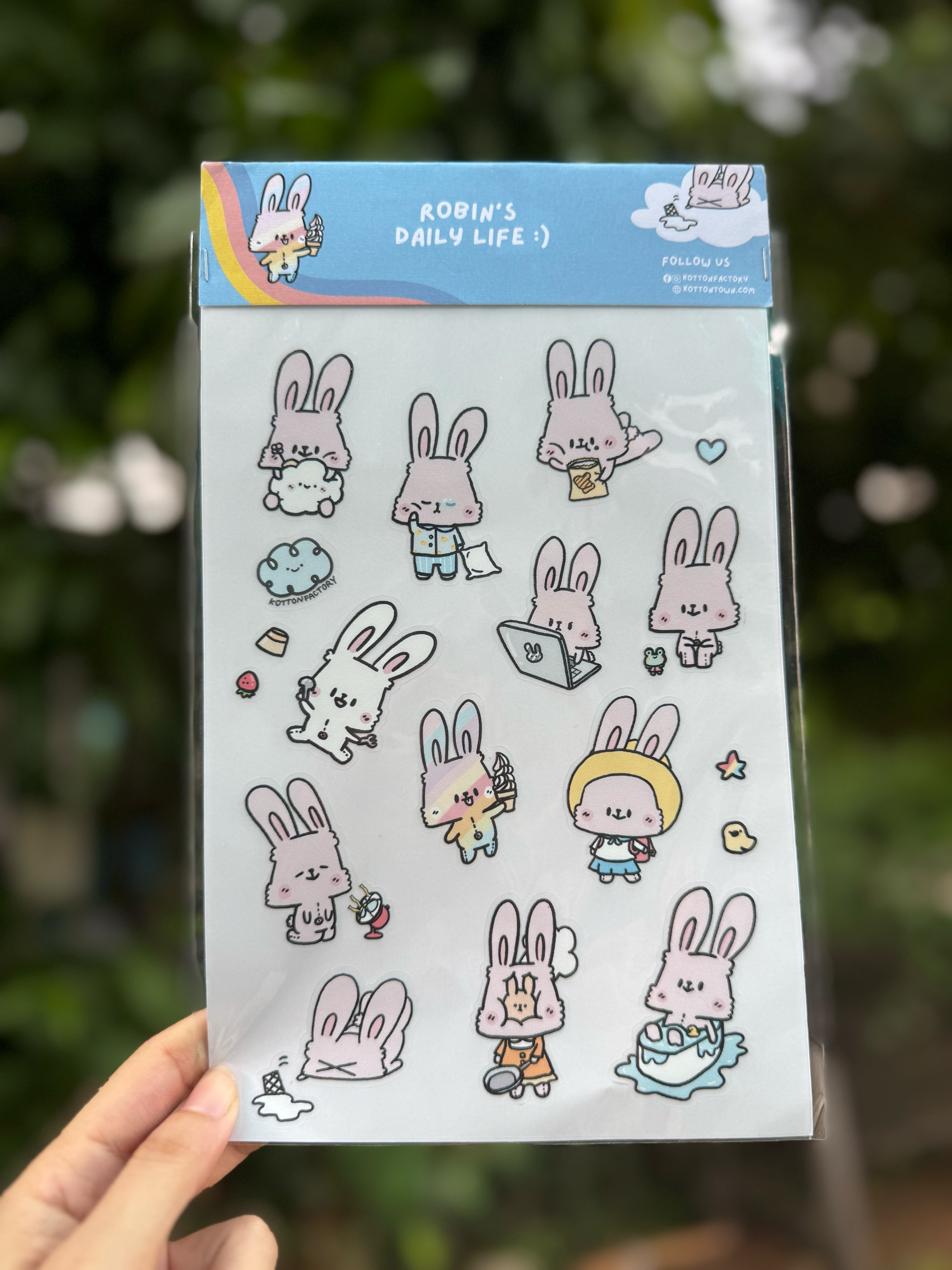 Sticker Robin Daily life (A5)